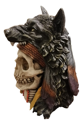 Cráneo Lobo Con Plumas Artesanía De Calavera Con Penacho Lob