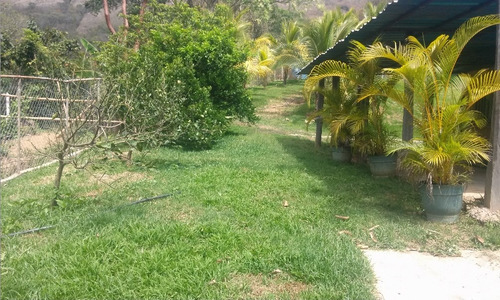En Venta Finca Ideal Para Ganadería, Cría De Caballos Entre Otras Actividades.