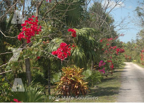 Terreno Ecológico, Venta De 3,750 M2, Fracc. El Ramonal, Km 15, Cancún-mérida