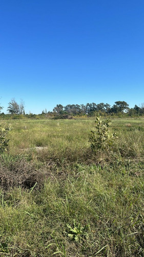 Terrenos Individuales 300 M2 Oportunidad Se Escuchan Ofertas Valor Negociable