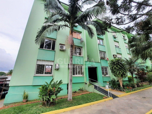 Apartamento - Jardim Carvalho - Ref: 203613 - V-203725