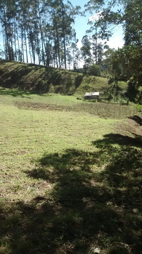 Imagem 24 de 29 de Chácara 4,91 Alqueires, 2 Alqueires Com Eucaliptos Em Ponto De Corte, Casa Sede, 3 Dormitórios, Lagos Com Peixes, Nascente, Próximo A Represa - Ch00106 - 69714090