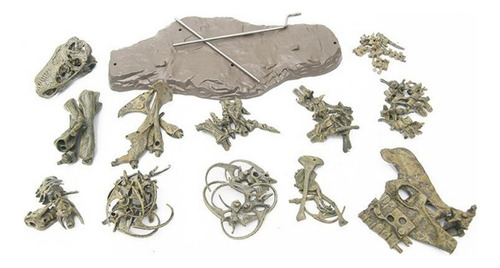Modelo De Esqueleto De Dinosaurio: Ensamblaje Fósil De