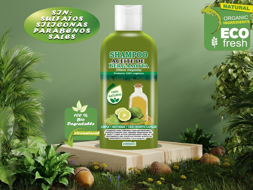 Shampoo Aceite De Bergamota 1l + Shampoo De Colágeno