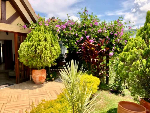 Finca En Venta En La Pintada