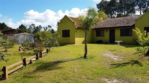 Venta Chacra C/ Casa De 2 Dorms. En Guazuvirá Nuevo