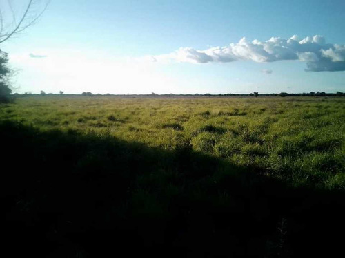 Imagen 14 de 26 de Finca En Venta ,calabozo Guarda Tinajas
