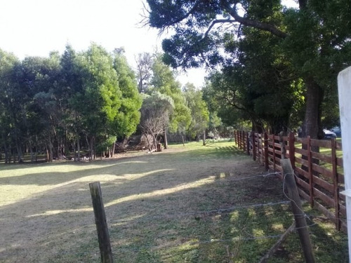 Imagen 2 de 5 de Lote Con Cabana A Terminar,miramar
