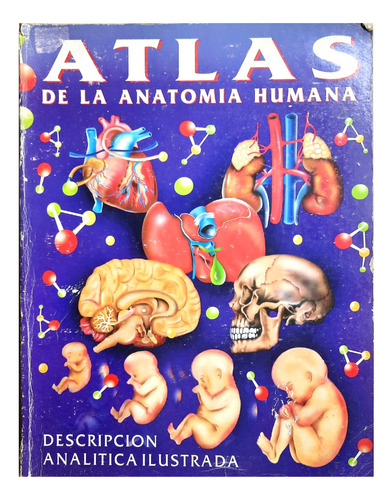 Atlas De La Anatomía Humana - Alejandro Lanoël ( Escolar )