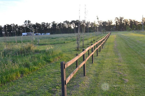 Imagen 10 de 10 de Lote De 1.5ha Con Laguna Interna - Santa Maria De Lobos