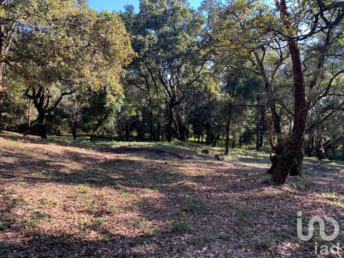 Venta Terreno 0 Ambiente Los Ocotes