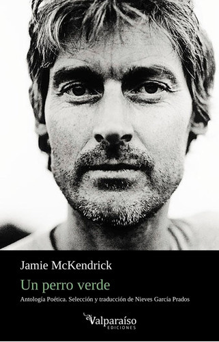 UN PERRO VERDE, de MCKENDRICK, JAMIE. Editorial VALPARAÍSO EDICIONES, tapa blanda en español