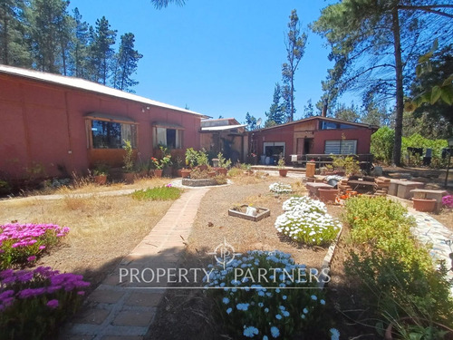Algarrobo, Bosque De Algarrobo Parcela 100% Plana