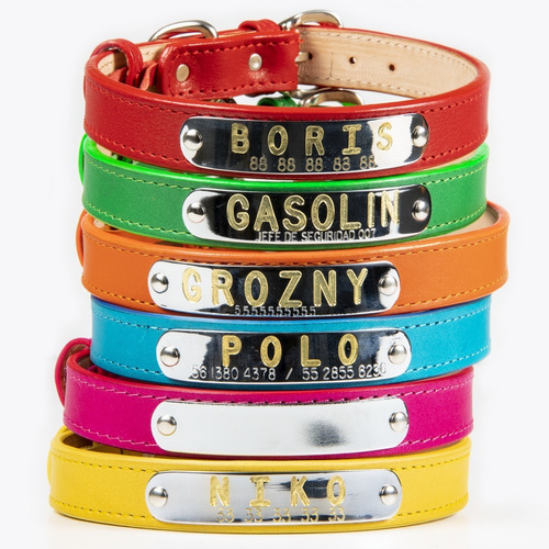 Collar Piel Perro Personalizado Placa Identificación Talla L