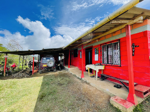 Finca De 1 Hectárea Con Casa, Frutales, Café Y Caña En San Roque Ant