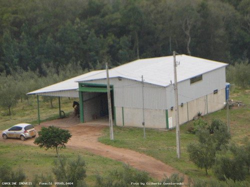 Imagem 3 de 15 de Oportunidade Para Investidor Para Venda Em Barra Do Ribeiro, Alto Douradilho - Barra Do Ribeiro - Rs, 6 Dormitórios, 1 Suíte, 5 Banheiros, 5 Vagas - 4014_1-2043950
