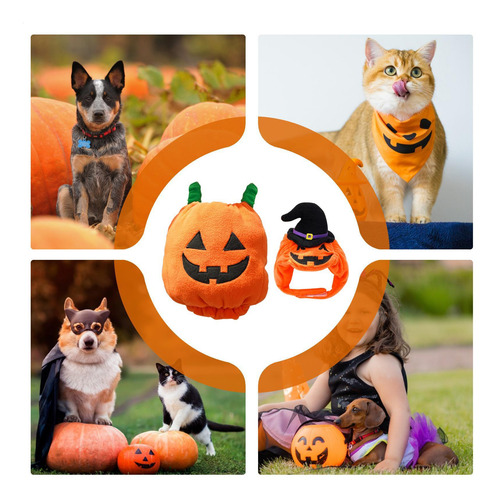 Disfraz De Calabaza Para Cachorro Disfraz De Calabaza Para P