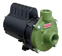 Comprar Bomba centrífuga centrífuga monofásica Schneider BC-91 S cor verde 60Hz 220V
