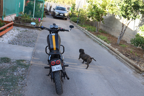 Moto Dayun-150-6d Customizada Estilo Bobber, Conversable