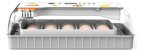 Incubadora Egg Vela Control Con Led Transparente Criadores
