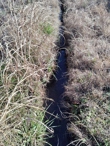 Terreno Para Construir, A Metros De Carretera El Cobre