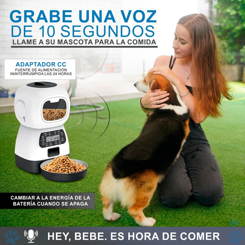 Imagen 3 de 5 de Dispensador Automatico Plato Alimento Perro Gato 3.5l