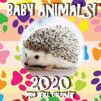 Libro Baby Animals! 2020 Mini Wall Calendar - Sea Wall
