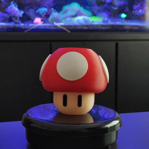 Cogumelo Porta Objeto Super Mario Bros Toad 3d