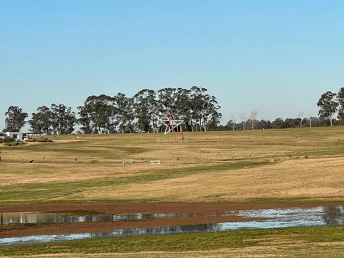 Terreno, Laguna De Los Cisnes, Barrio Cerrado, Venta, Permuta