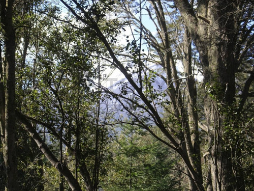 Imagen 4 de 17 de Venta Lote De 1025 M2 En Las Balsas, Villa La Angostura