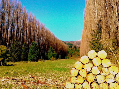 Imagen 4 de 22 de Lote Venta Bariloche Financiación 50% Dos Valles