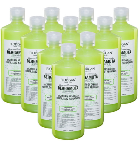 Shampoo Bergamota Crecimiento De Cabello Florigan 1l Pack 10