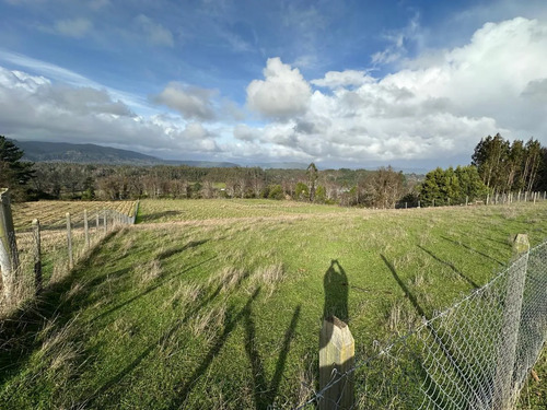Terreno De 5000 M2 En Cañete, Tranquilidad Y Proyección