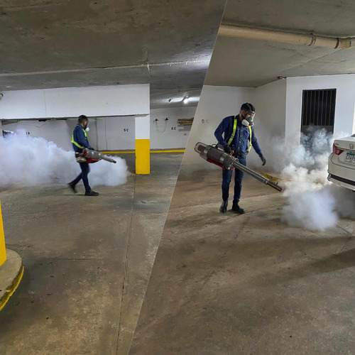Imagen 3 de 3 de Servicio De Fumigación Y Limpieza De Tapicería