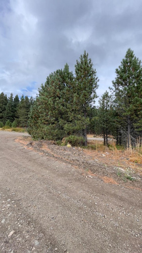 Lote En Venta En San Martín De Los Andes