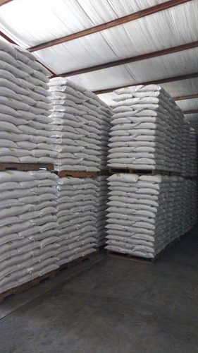 Semilla De Cilantro Marroquí Entero Saco 10 Kg