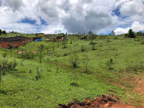 Imagem 2 de 2 de Terreno Para Voce Que Procura Tranquilidade /igarata