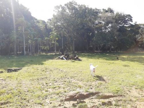 Imagem 13 de 13 de Excelente Chácara 300m Da Rodovia Itanhaém-são Fernando 8531