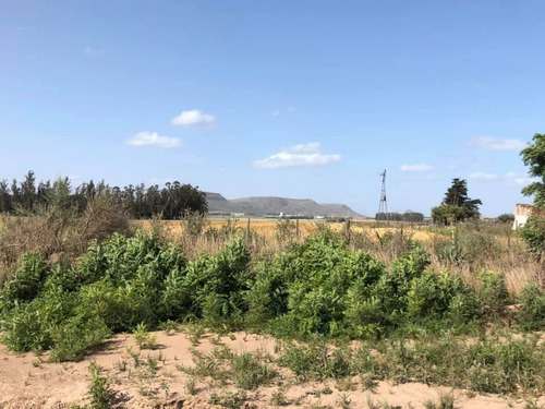 Imagen 9 de 15 de Venta 7 Hectareas Balcarce, Apto Cabañas O Quinta
