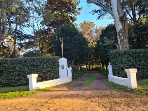 Imagen 6 de 30 de Casa Quinta. Pilar. Amplia. 3120 M2