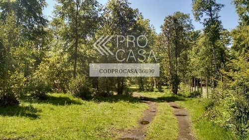 Imagen 10 de 11 de Casa Camino Los Alamos/quetroleufu