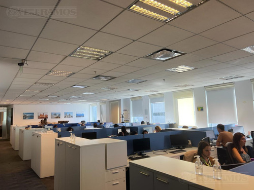 Oficina En Polo Dot.-