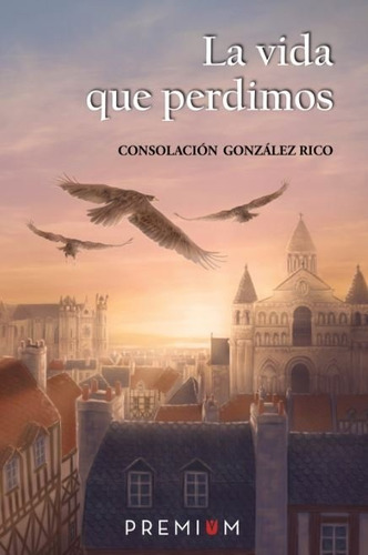 La Vida Que Perdimos, De González Rico, Solación. Premium Editorial, Tapa Blanda En Español