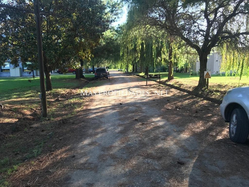 Imagen 4 de 6 de Terreno Interno En La Tacuara