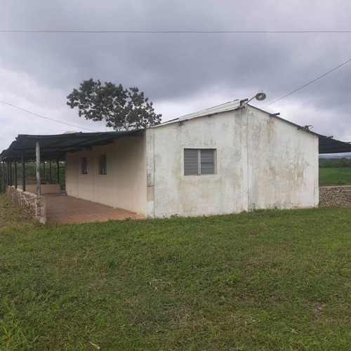 Imagen 11 de 26 de Finca En Venta Vía Cordero El Cuji Ksanchez