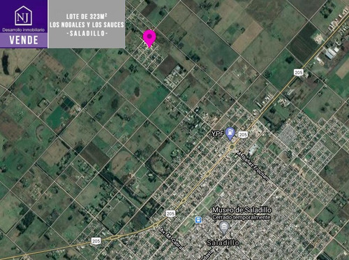 Imagen 9 de 11 de Lote En Venta