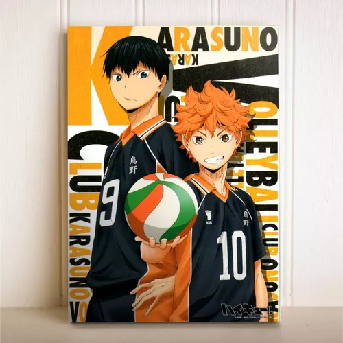 Haikyuu, Haikyuu!!, anime, anime boys, white background, ball