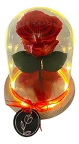 Comprar Flor Eterna 