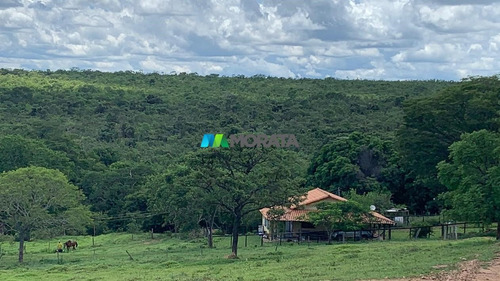 Imagem 1 de 10 de Fazenda - Zona Rural - Ref: 4896 - V-mta4896