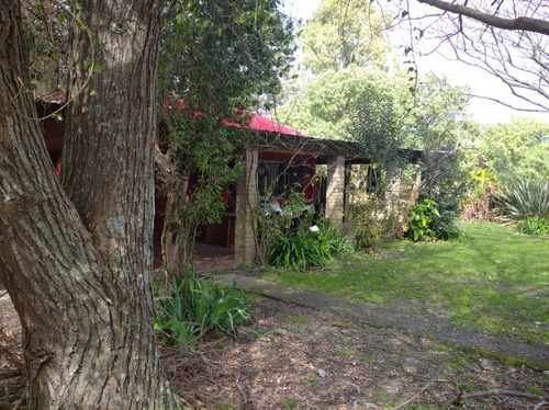 Imagen 9 de 30 de Lindísimo Campo En Veronica, Punta Indio